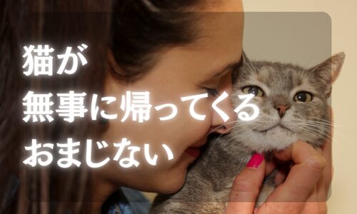 【帰ってきた実例】猫が帰ってくるおまじないとスピリチュアル法